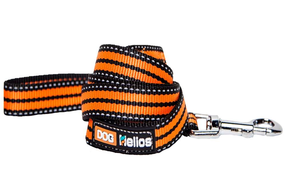 dog backpack carrier