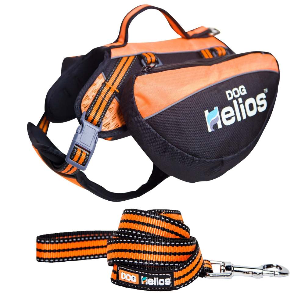 dog backpack carrier