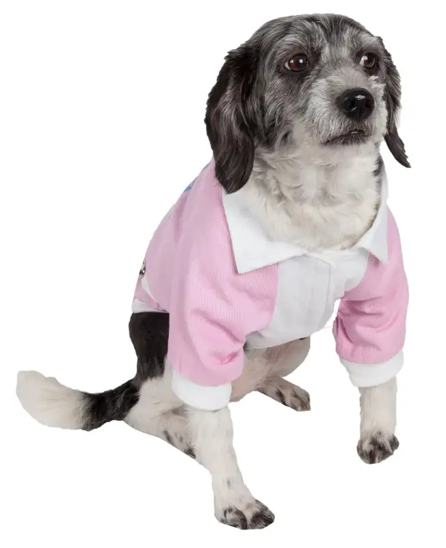  dog jacket 