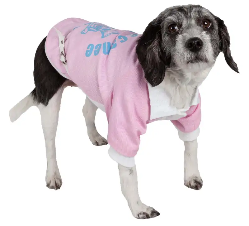  dog jacket 
