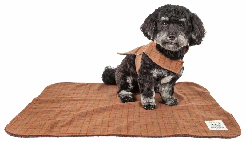 Touchdog 2-In-1 Windowpane Plaided Dog Jacket With Matching Reversible Dog Mat