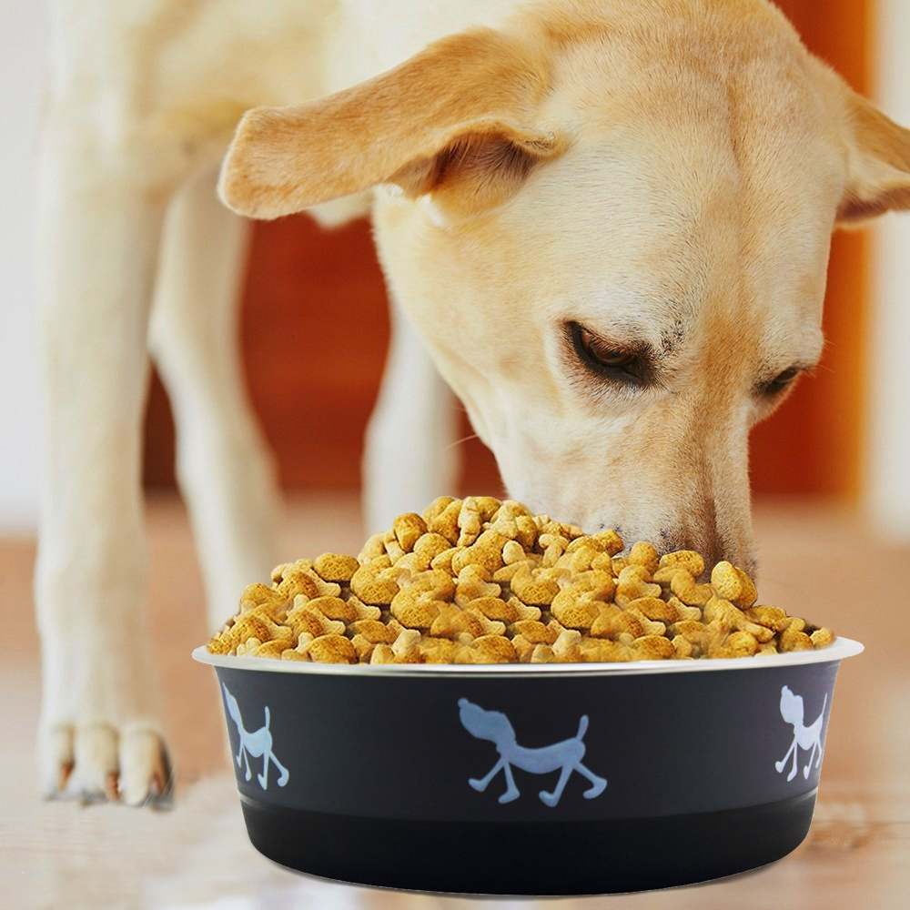 Stainless Steel Pet Bowl with Anti Skid Rubber Base and Dog Design; Gray and Black