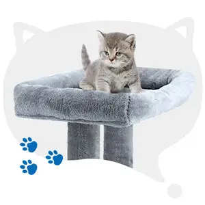 Cat Tree with Platform and Scratching Posts ; Cat Tower for Indoor Cats