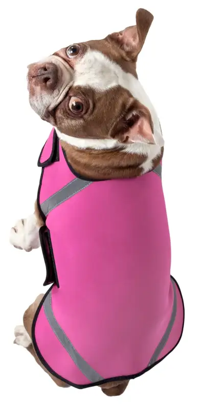 Extreme Neoprene Multi-Purpose Protective Shell Dog Coat