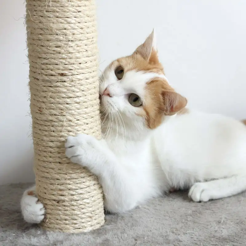 Cat Scratching Post Tower with 3 Scratcher Posts, Carpeted Base Play Area and Perch – Furniture Scratching Deterrent for Indoor Cats