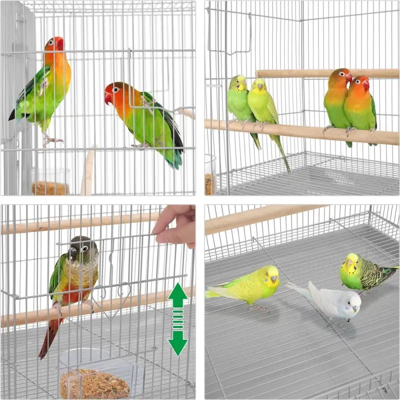 Flight Cage for Birds