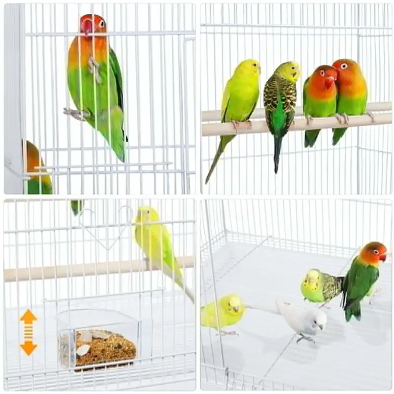 Flight Cage for Birds