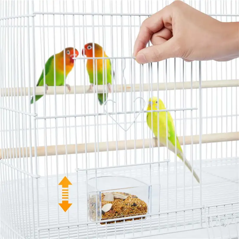 Flight Cage for Birds