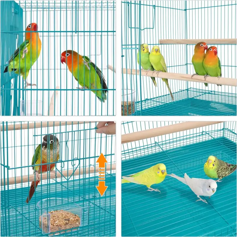 Flight Cage for Birds