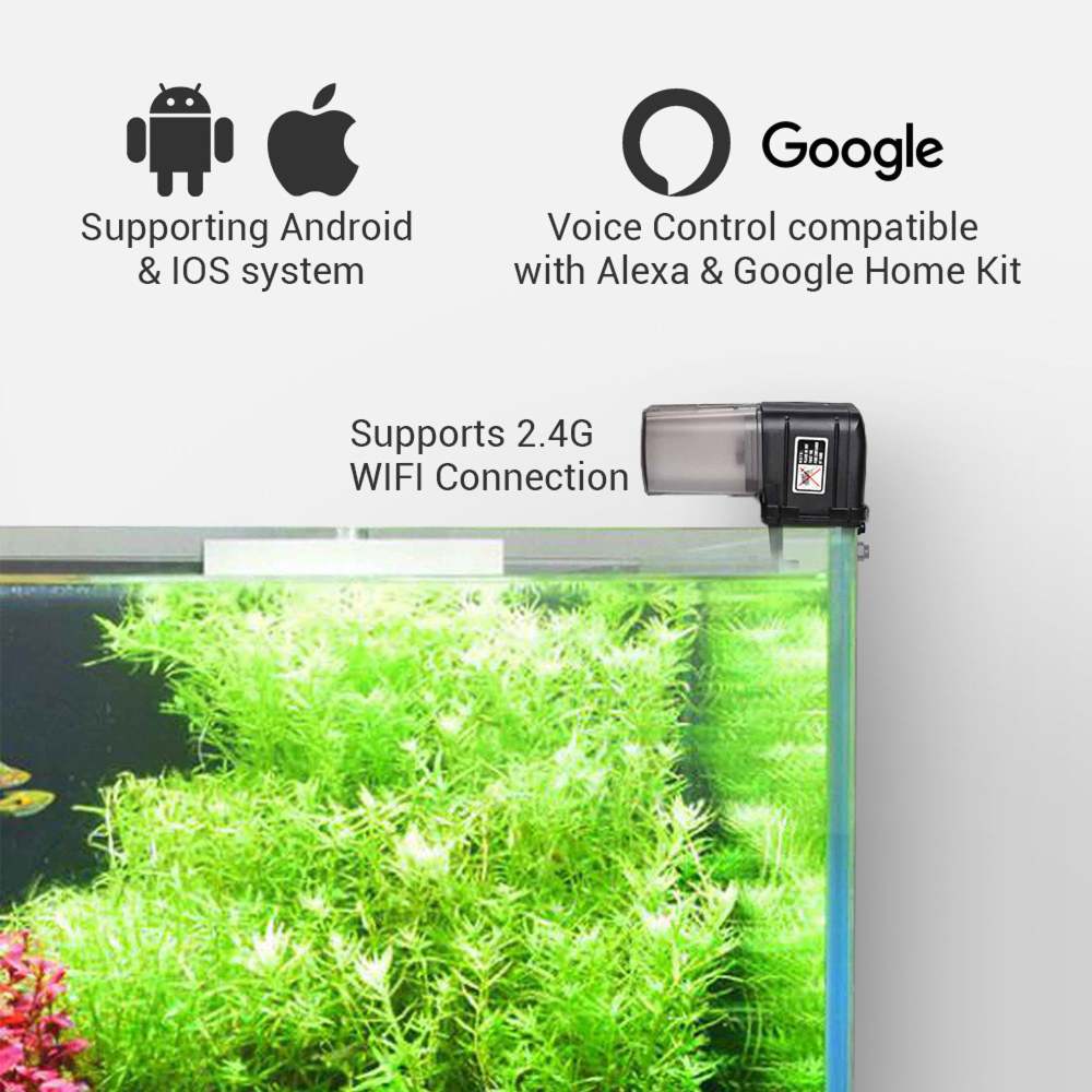 Automatic Fish Feeder