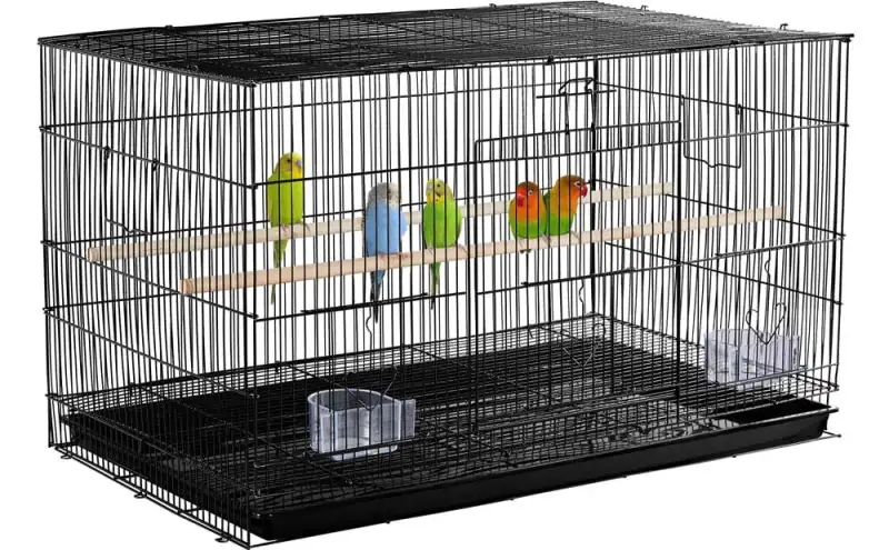 Flight Cage for Birds
