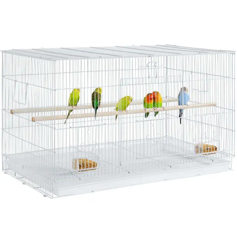 Flight Cage for Birds