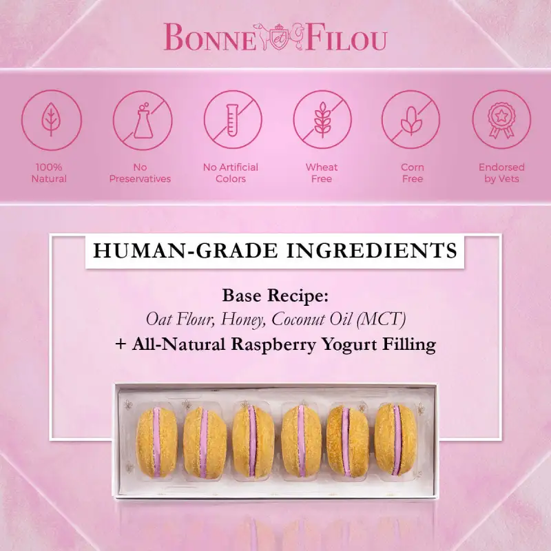 Dog Macarons - Count of 6 (Dog Treats | Dog Gifts)