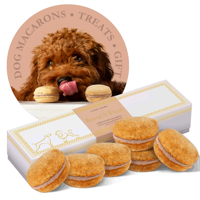 Dog Macarons - Count of 6 (Dog Treats | Dog Gifts)