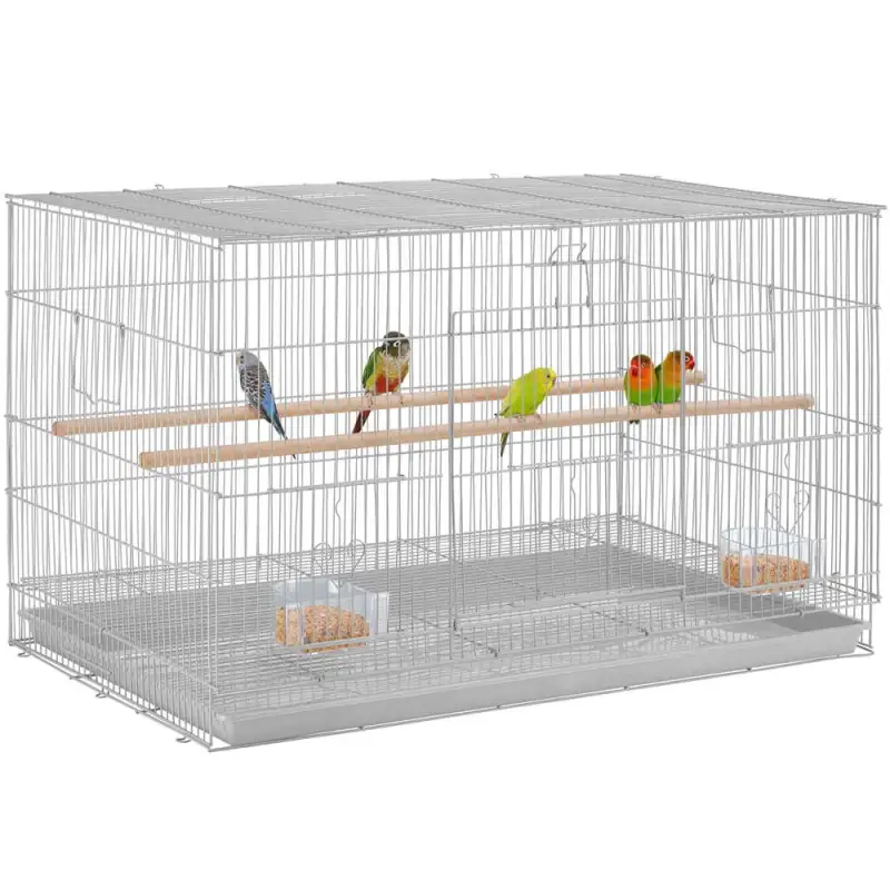 Flight Cage for Birds