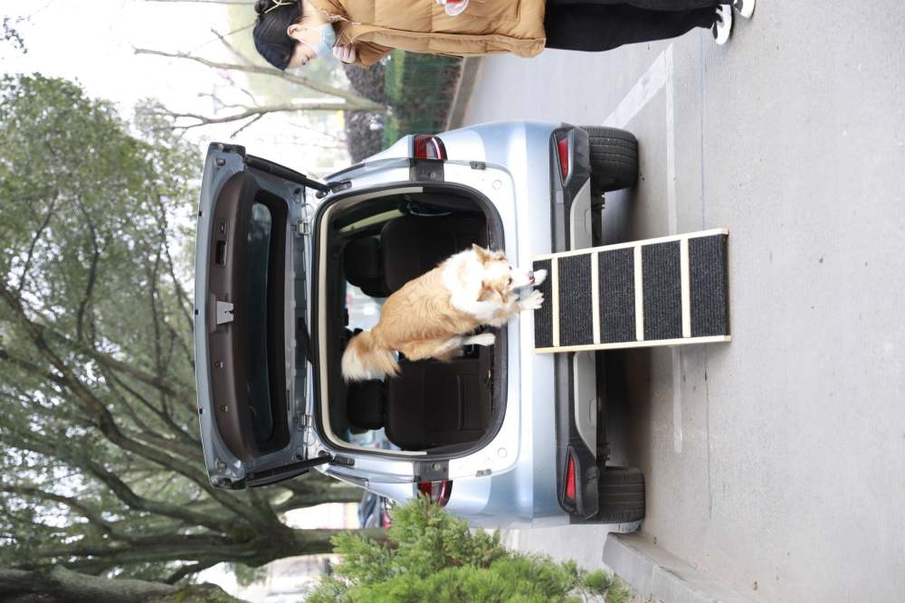 Tall Adjustable Pet Ramp; Folding Portable Wooden Dog Cat Ramp; Non-Slip Paw Traction Surface Dog Step for Car; SUV; Bed; Couch; Adjustable Height from 9.3" to 24"