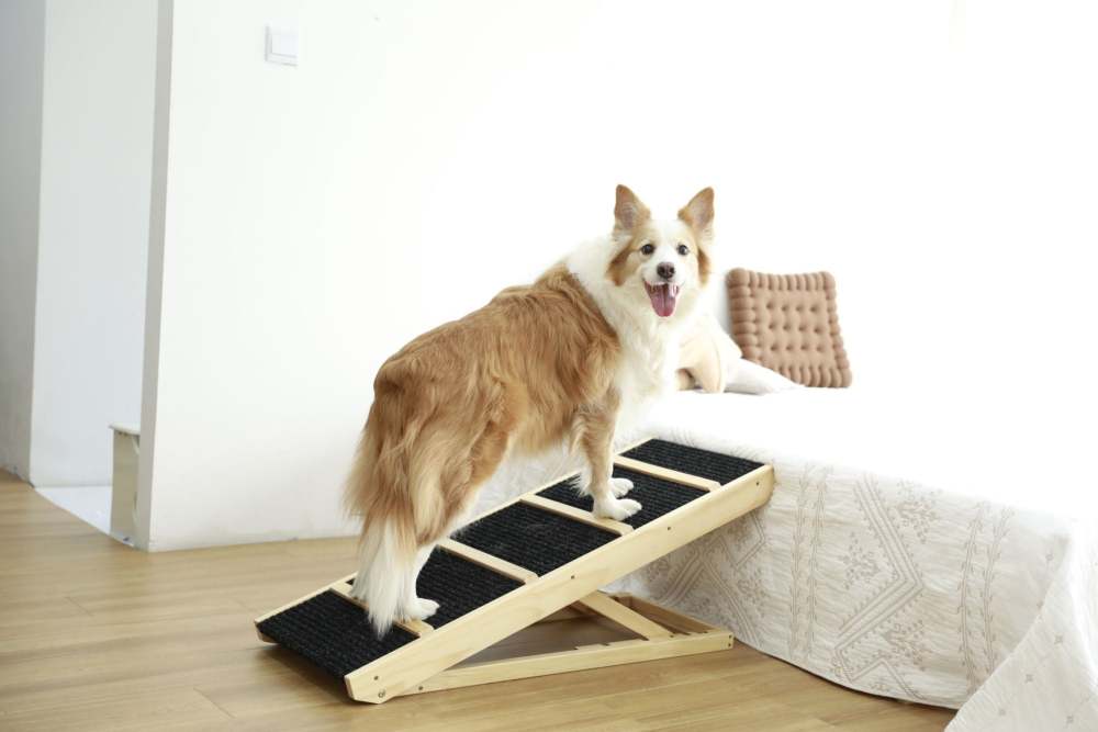 Tall Adjustable Pet Ramp; Folding Portable Wooden Dog Cat Ramp; Non-Slip Paw Traction Surface Dog Step for Car; SUV; Bed; Couch; Adjustable Height from 9.3" to 24"