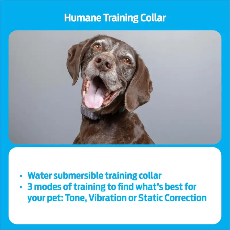 Premier Pet 600 Yard Remote Trainer: Corrects Unwanted Behaviors for All Size Dogs, 3 Correction Modes: Tone, Vibration, & Static, Rechargeable, Durable, Water Submersible, Expandable to 2 Dogs