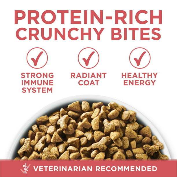 Purina One +Plus Indoor Advantage Salmon Dry Cat Food, 3.5 lb Bag