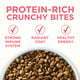 Purina One +Plus Healthy Kitten Formula for Kittens, 3.5 lb Bag