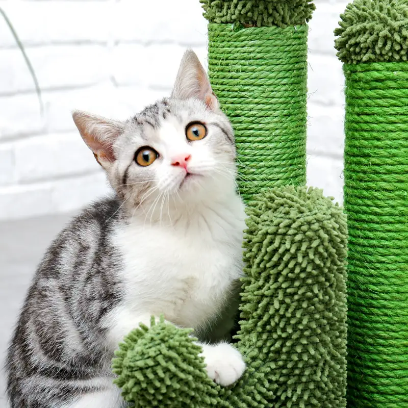 (Do Not Sell on Amazon) Cat Scratching Post Cactus Cat Scratcher Featuring with 3 Scratching Poles and Interactive Dangling Ball XH