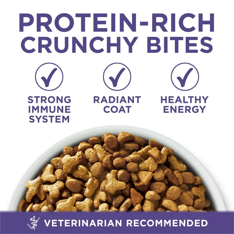 Purina One +Plus Helps Minimize Hairballs Dry Cat Food 22 lb Bag