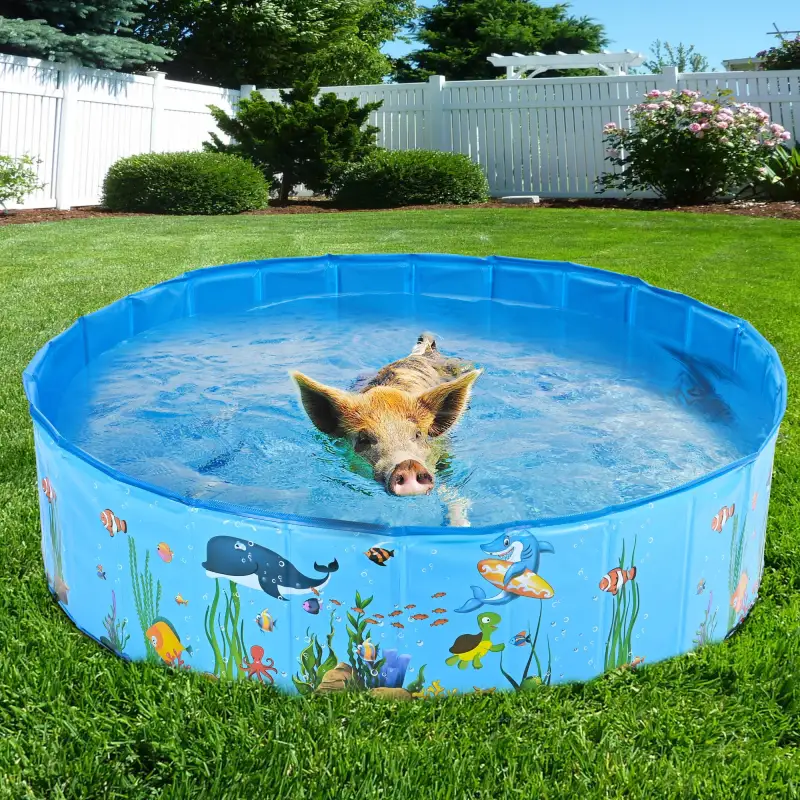 pet pool