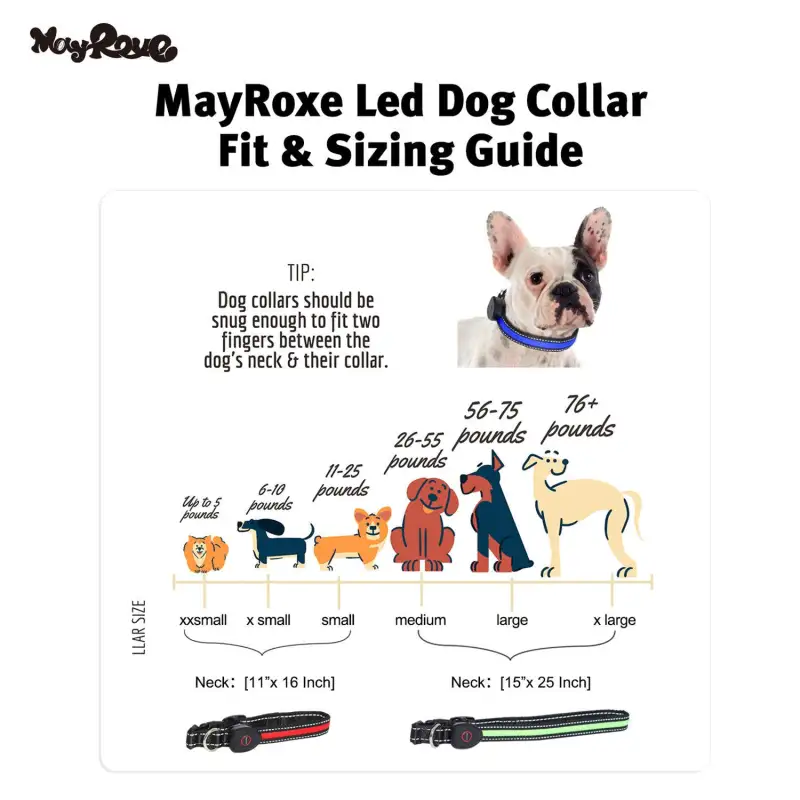 peach heart pet collar L