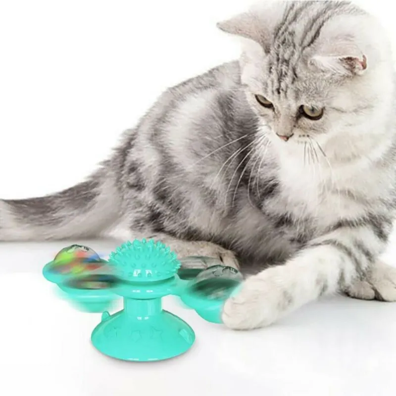 cat toys for kittens