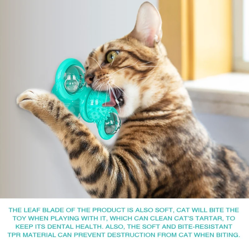 cat toys for kittens