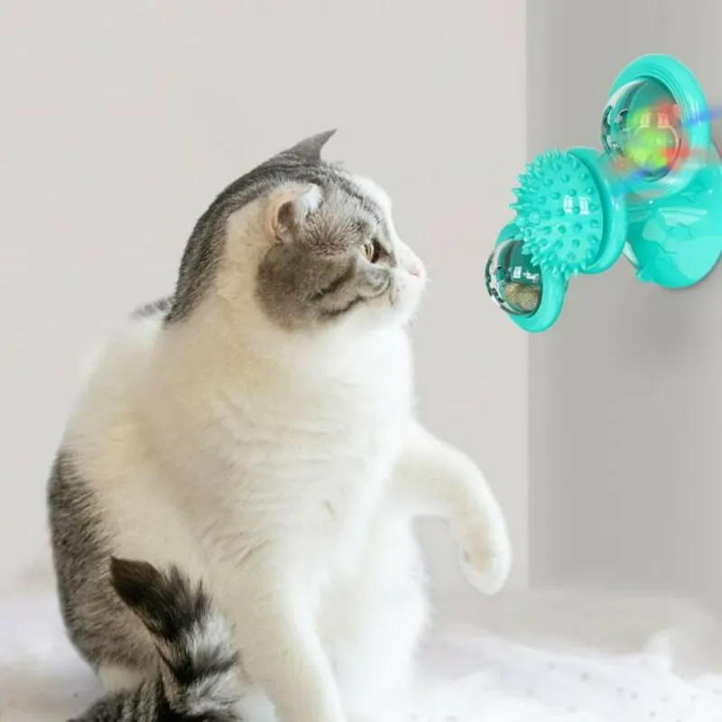 cat toys for kittens