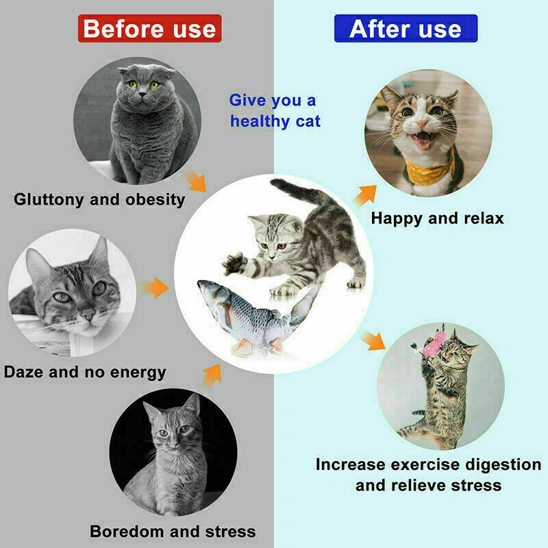 New Stylish Cat Toys For Kitten  Design Windmill And Fish   What types of cat toys are best for kittens