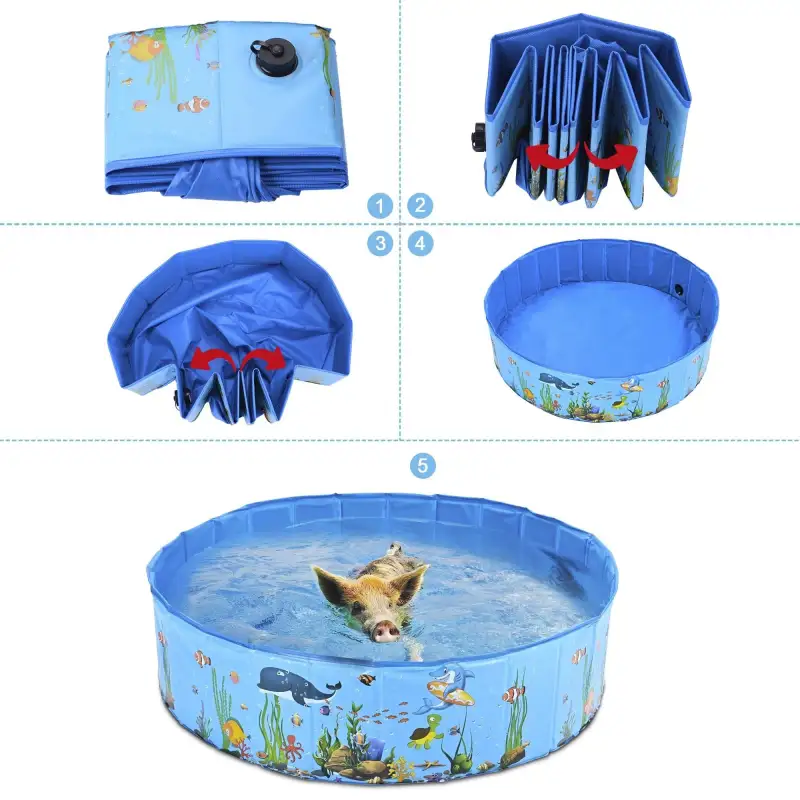 pet pool