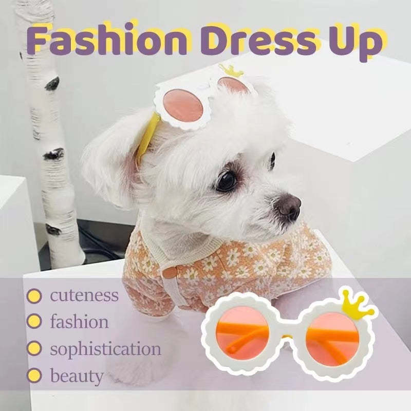 Durable and scratch-resistant pet sunglasses