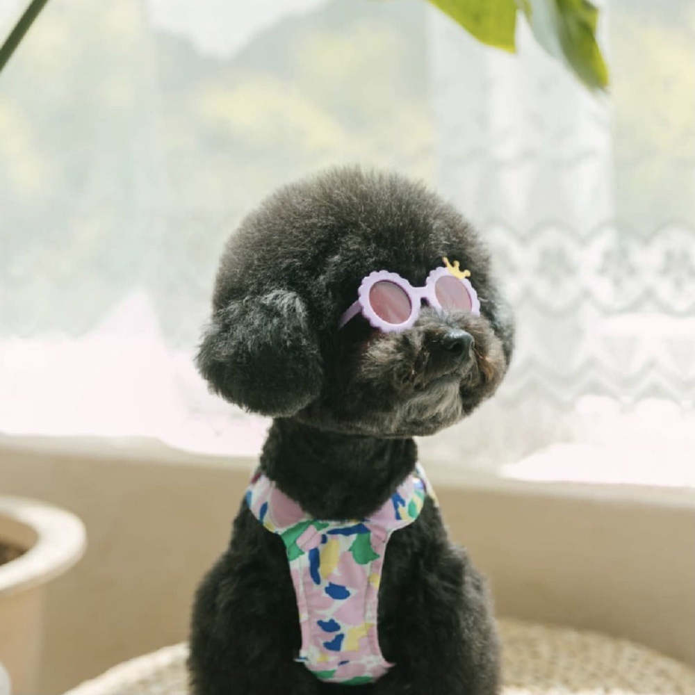 Durable and scratch-resistant pet sunglasses