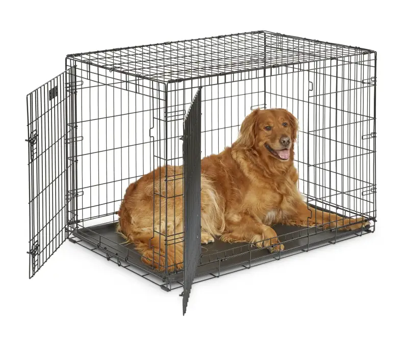MidWest Homes For Pets Double Door iCrate Metal Dog Crate