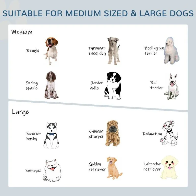 Elevated Dog Bowls Stand with 2 Stainless Steel Bowls