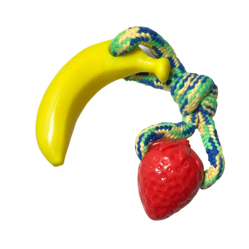 Bumpi Fruit Toy 2PK