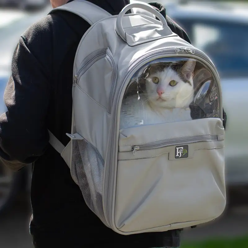 Dog Backpack 