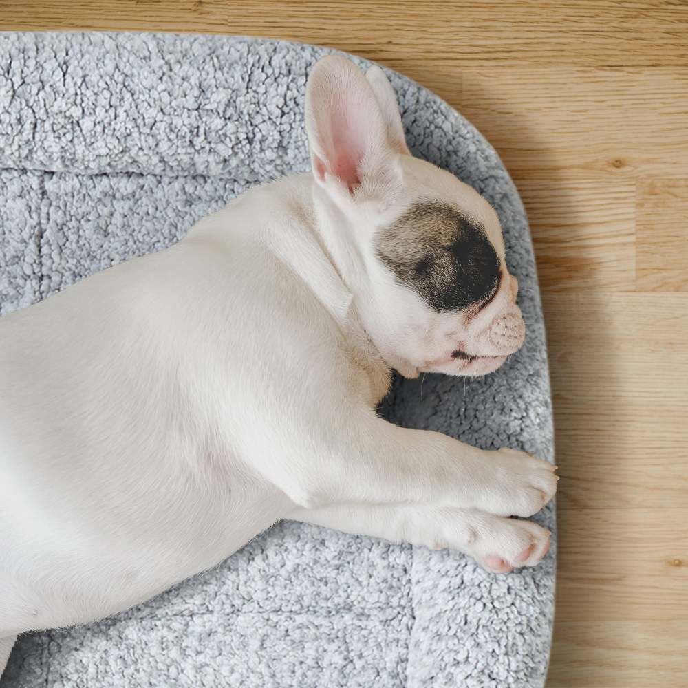 Nova Back Printed Microberber Bumper Crate Mat