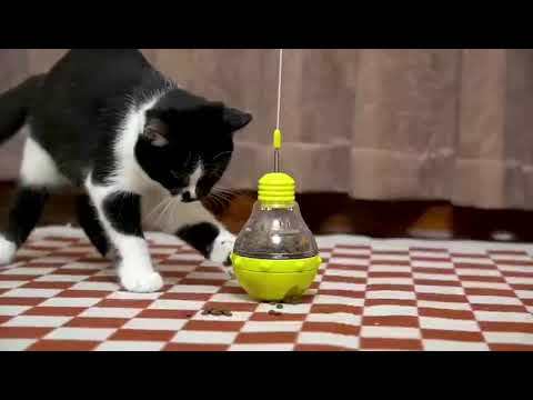 Dog Behavior Training: 7 Pro Tips for Dog Obedience Training for Puppies & Behavior Modification Train Your Dog at Home with Petnihao