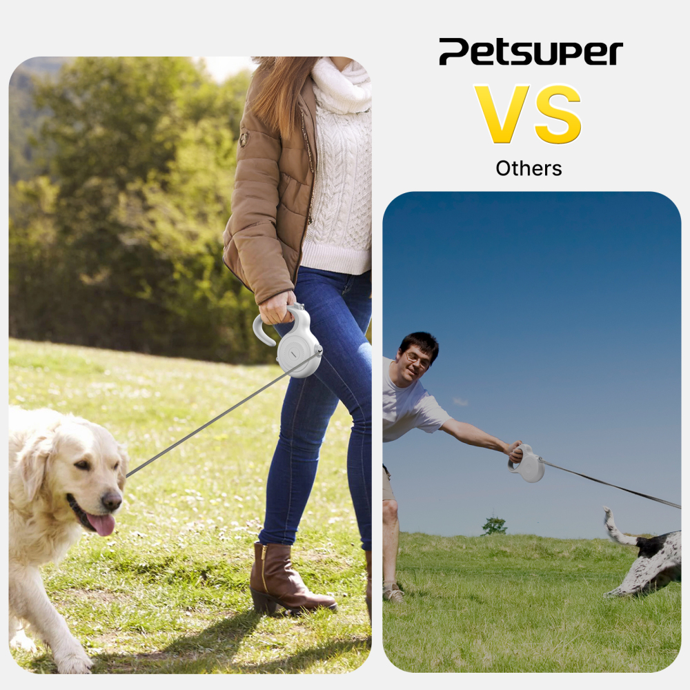 Best Dog Leash: Top 10 Durable Picks – Dog Leash Collar & Dog Leash for Two Dogs | Safe Walks for Every Furry Friend