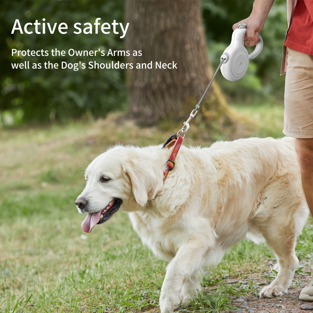 Best Dog Leash: Top 10 Durable Picks – Dog Leash Collar & Dog Leash for Two Dogs | Safe Walks for Every Furry Friend