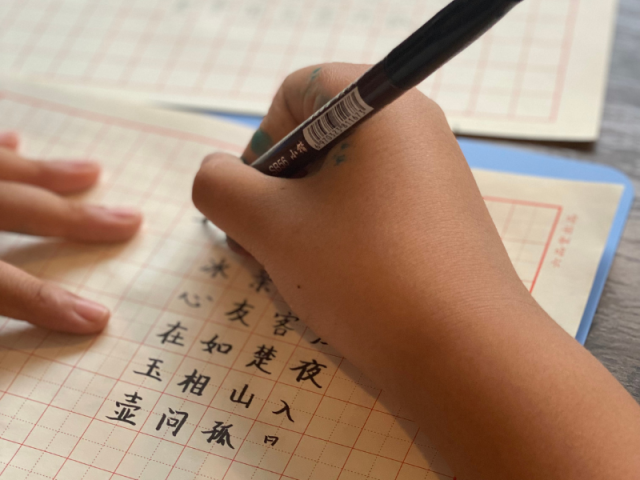 Children Pen Calligraphy    儿童硬笔书法