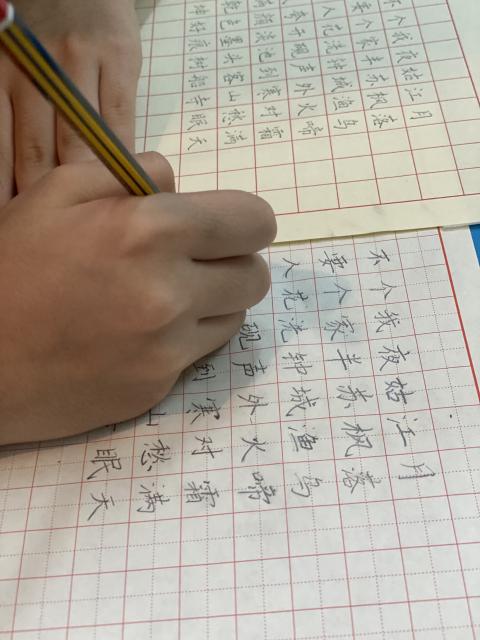 Children Pen Calligraphy    儿童硬笔书法