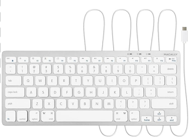 mac USB Type-C 键盘 有线 小型 尺寸 US排列 mac Windows通用 静音性 剪刀开关 全尺寸 78键 居家办公 远程办公 (UCSLIMKEYCA)