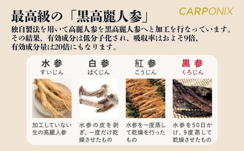 サプリメント