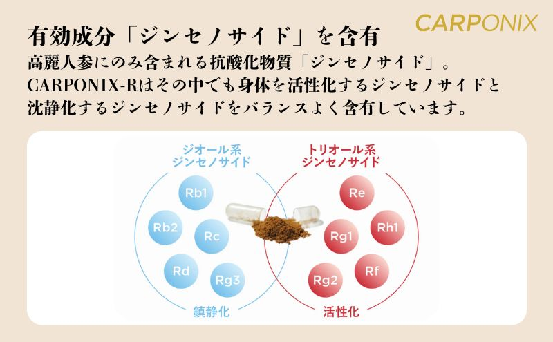 サプリメント