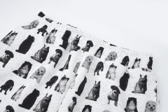 Trend shorts
