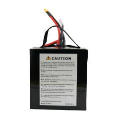 DOGCOM 20000mAh 1C 6S 19.2V LifePO4